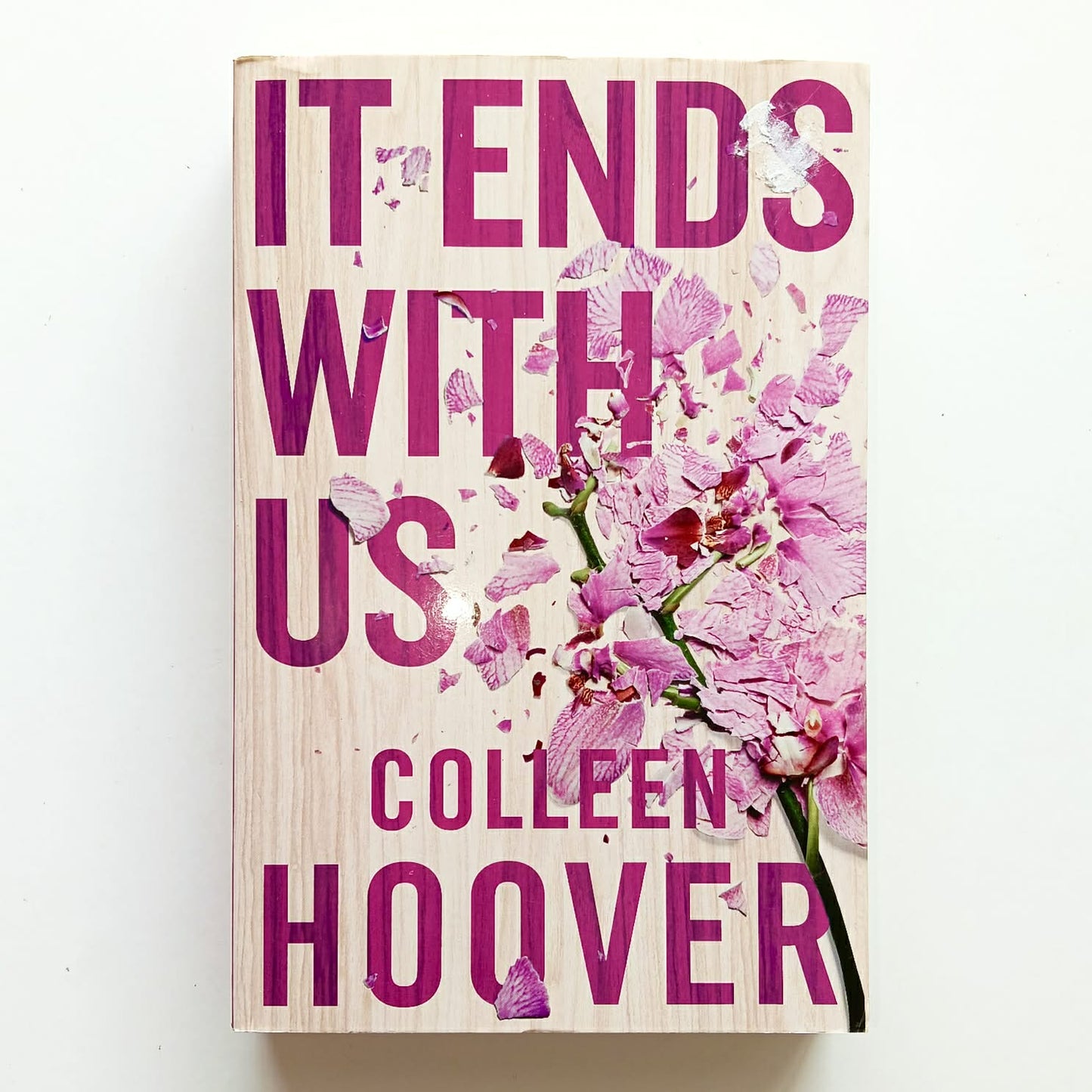 It Ends With Us