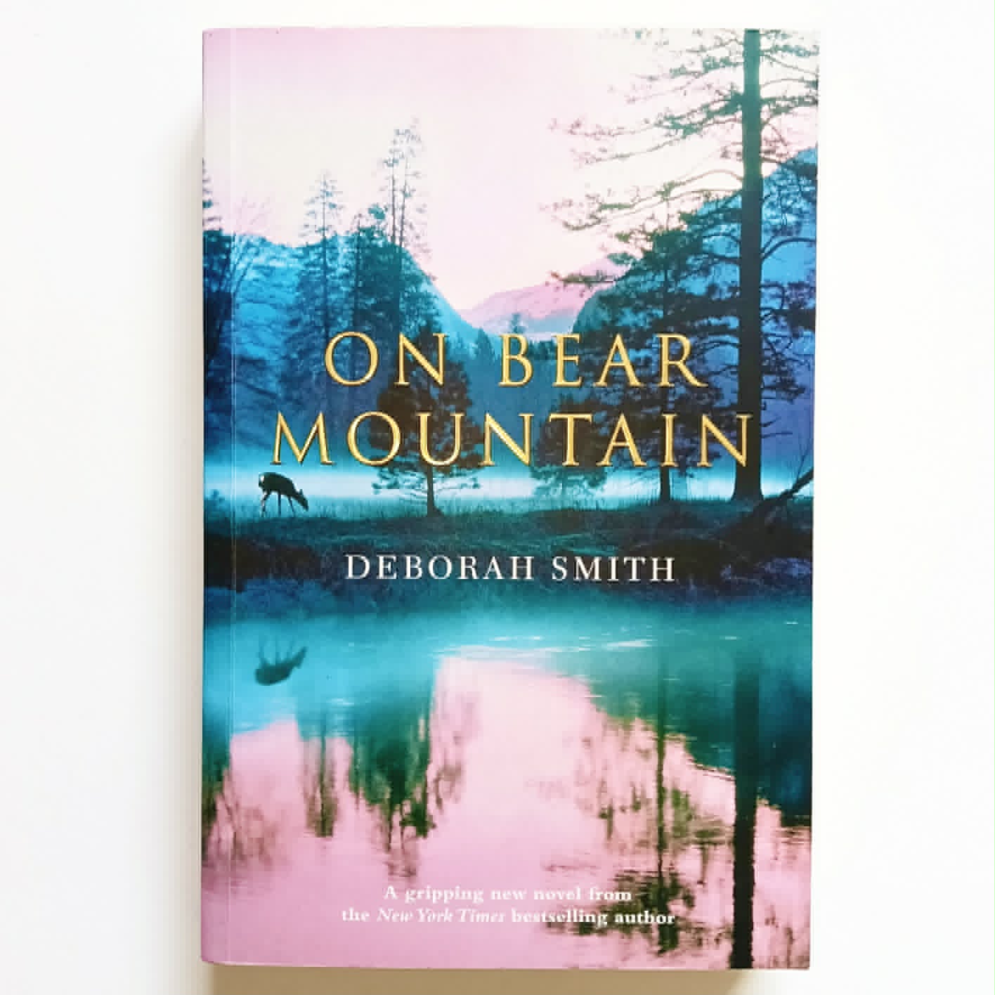 On Bear Mountain