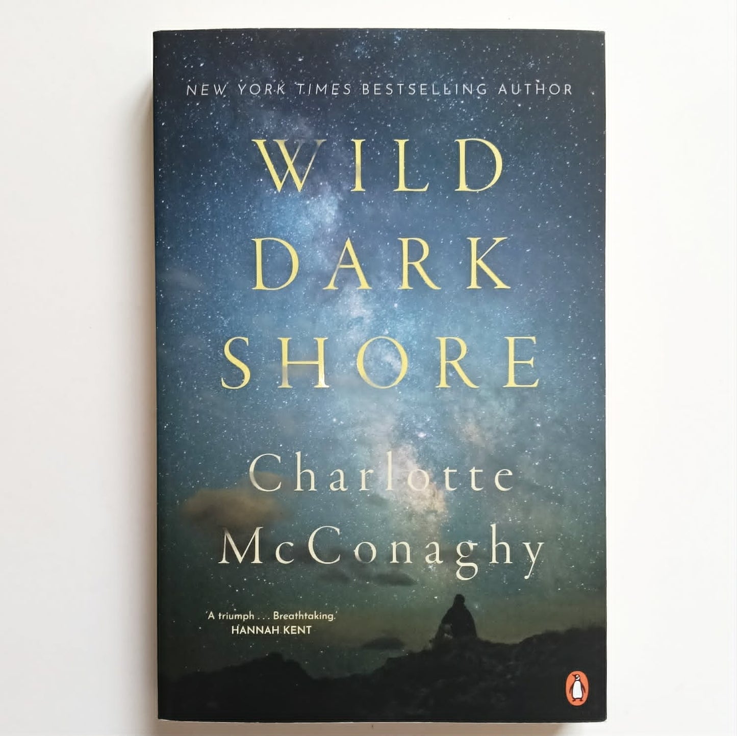 Wild Dark Shore