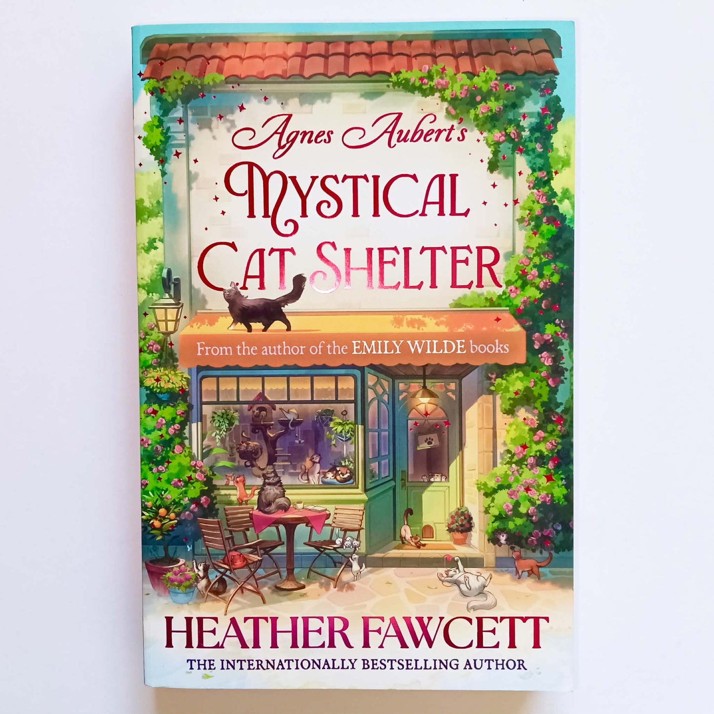 Agnes Aubert's Mystical Cat Shelter