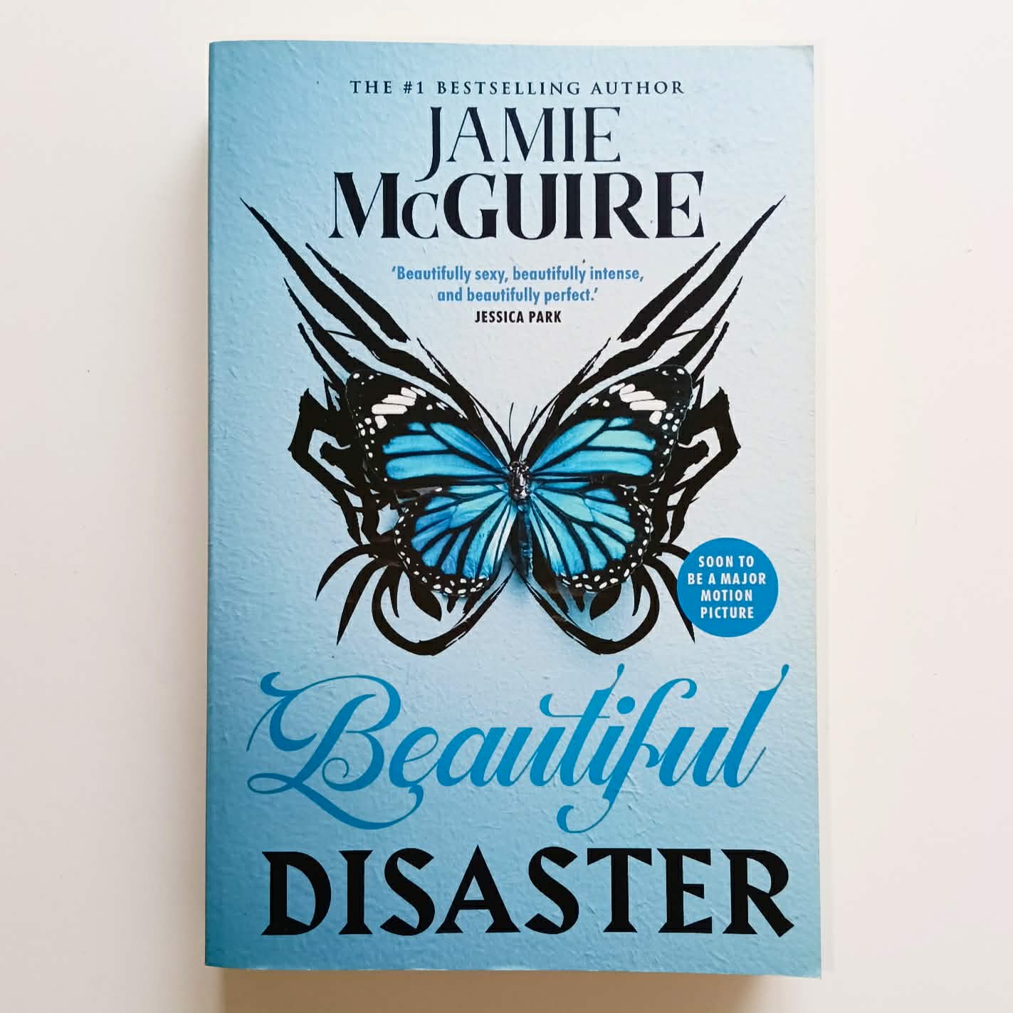 Beautiful Disaster