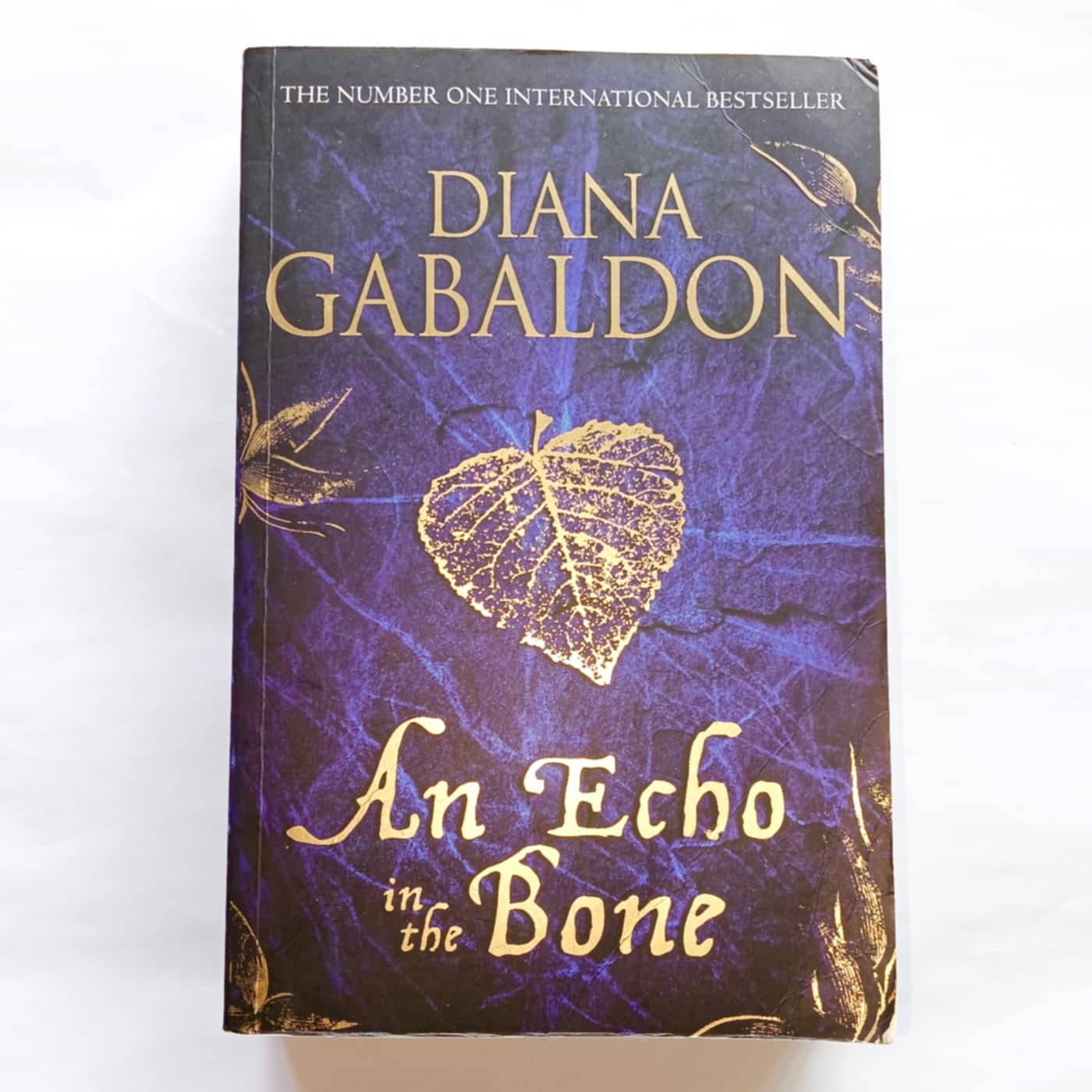 An Echo In The Bone-Larger Size