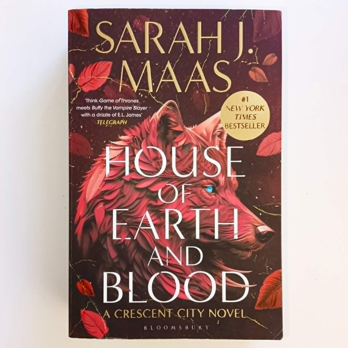 House Of Earth And Blood