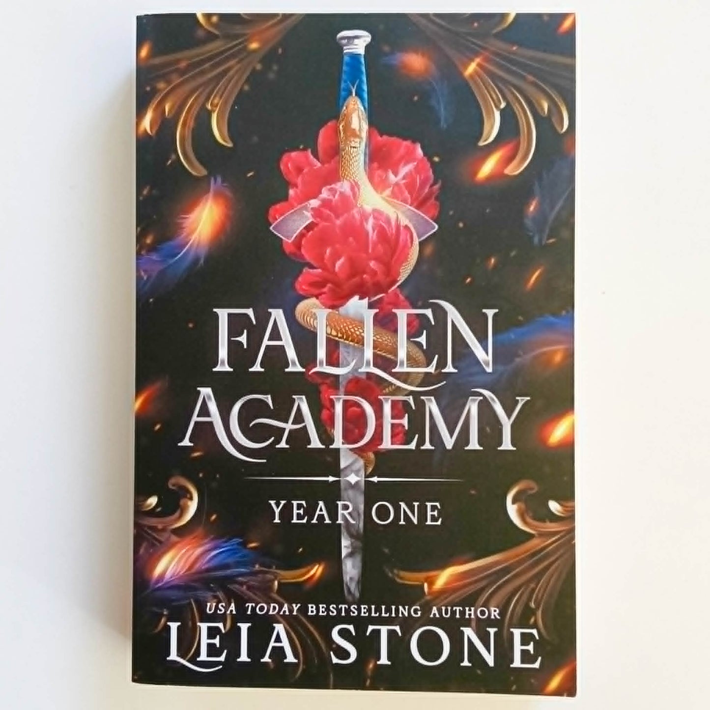 Fallen Academy - Year One