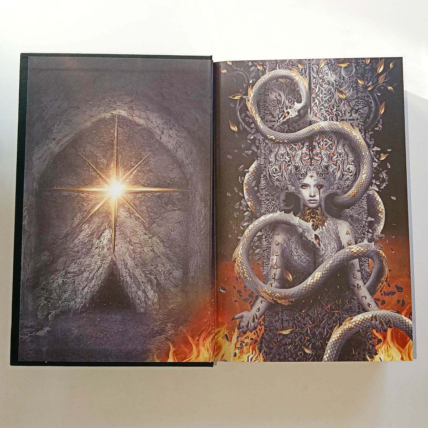 House Of Flame And Shadow