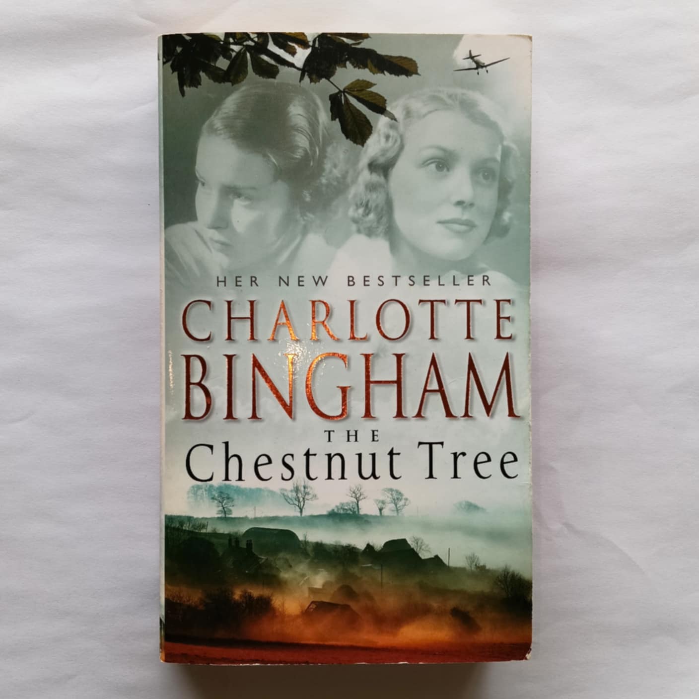 The Chestnut Tree