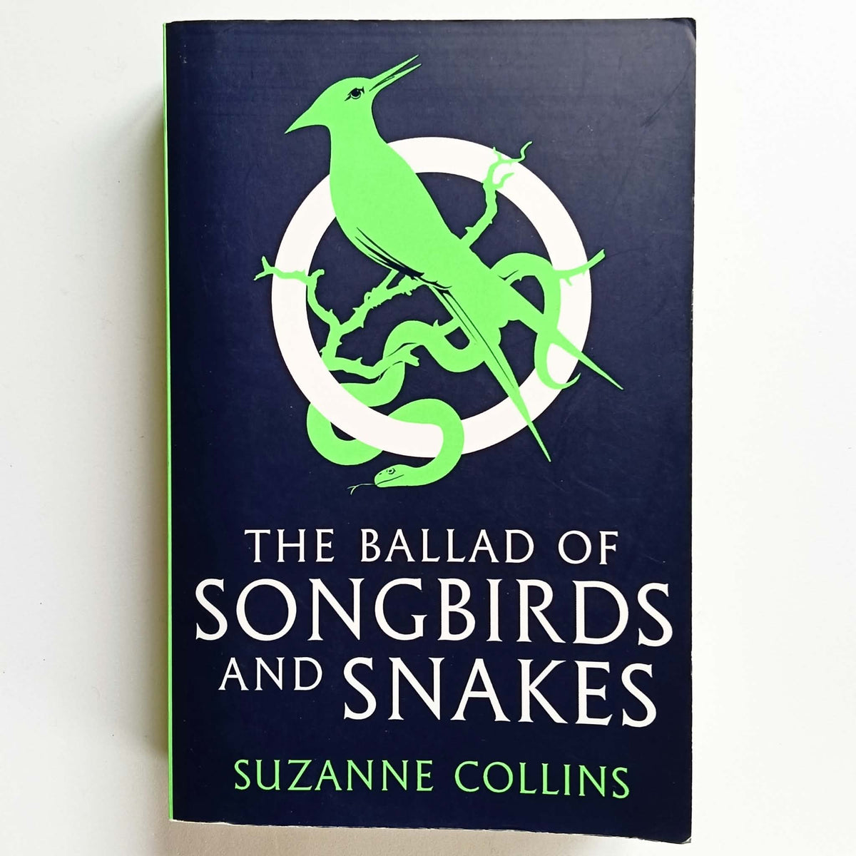 The Ballad Of Songbirds & Snakes